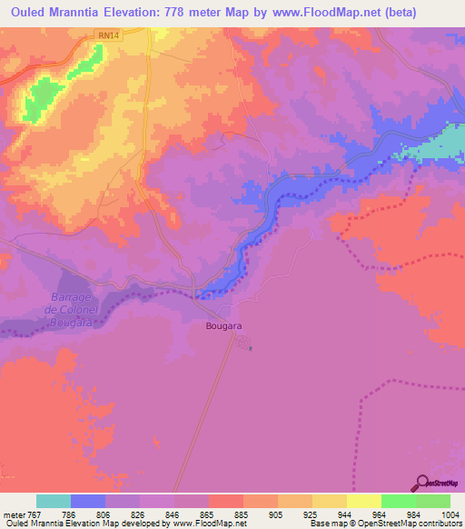Ouled Mranntia,Algeria Elevation Map