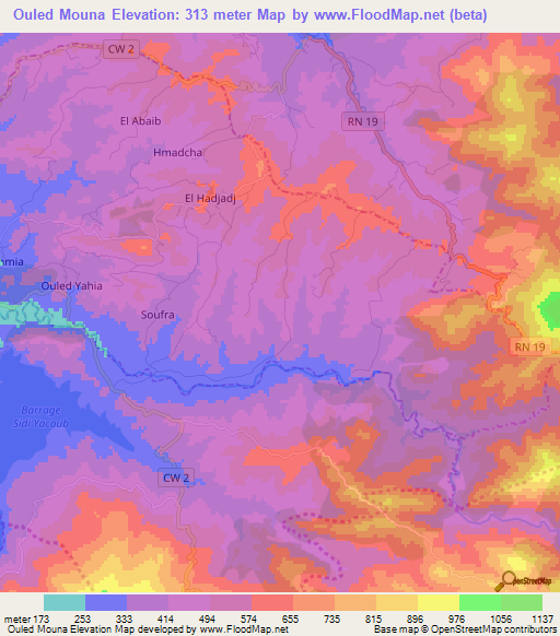 Ouled Mouna,Algeria Elevation Map