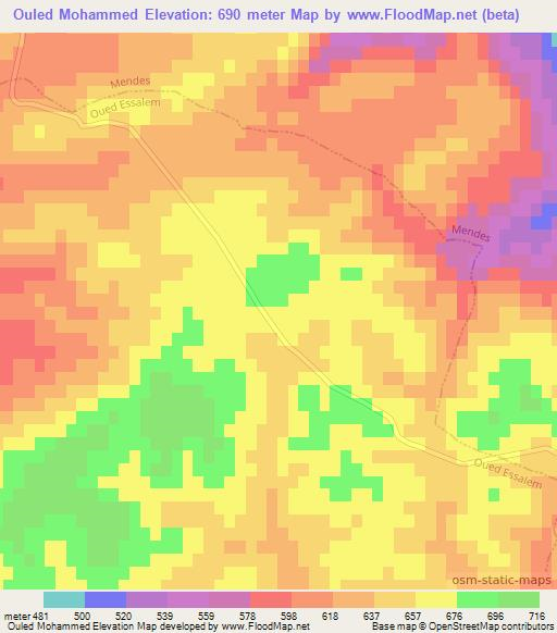 Ouled Mohammed,Algeria Elevation Map