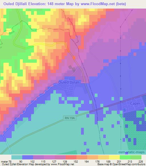 Ouled Djillali,Algeria Elevation Map