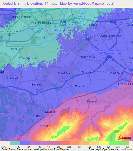 Ouled Brahim,Algeria Elevation Map