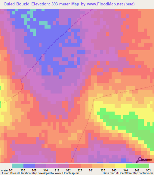 Ouled Bouzid,Algeria Elevation Map
