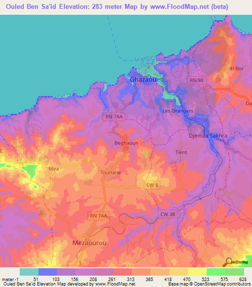 Ouled Ben Sa'id,Algeria Elevation Map