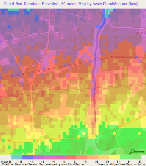 Ouled Ben Ramdane,Algeria Elevation Map