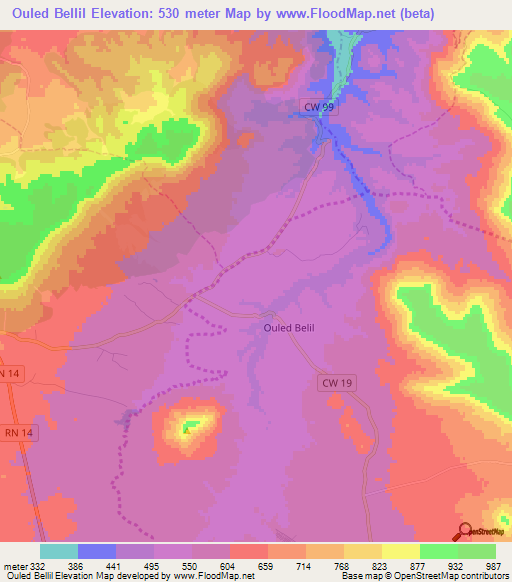 Ouled Bellil,Algeria Elevation Map