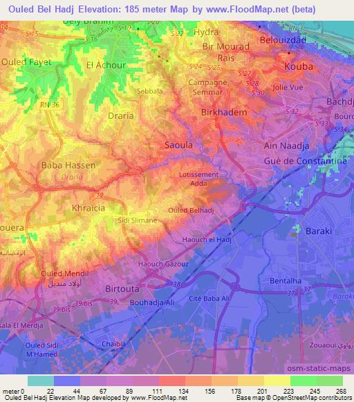 Ouled Bel Hadj,Algeria Elevation Map