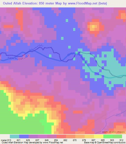 Ouled Allah,Algeria Elevation Map