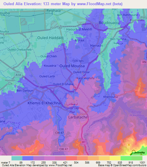 Ouled Alia,Algeria Elevation Map