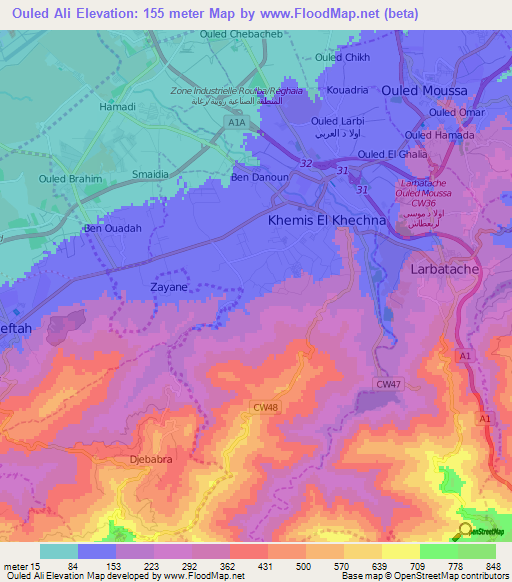Ouled Ali,Algeria Elevation Map
