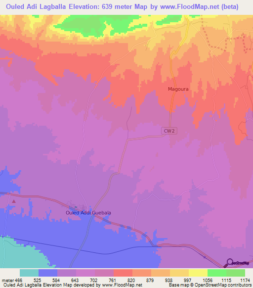 Ouled Adi Lagballa,Algeria Elevation Map
