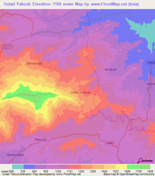 Oulad Yakoub,Algeria Elevation Map