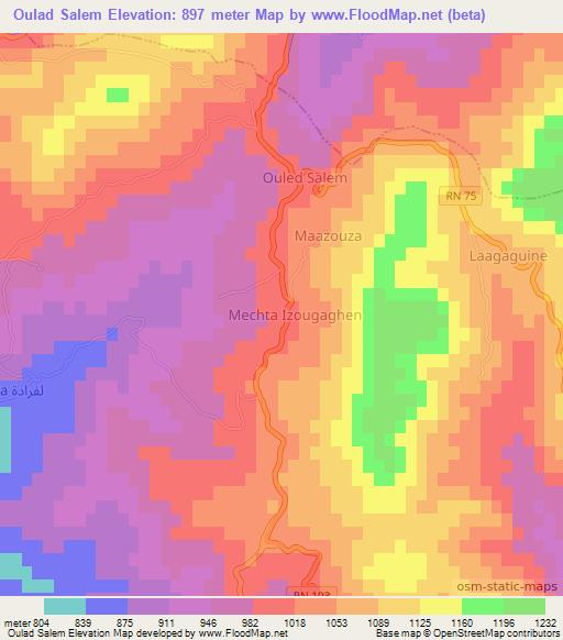 Oulad Salem,Algeria Elevation Map