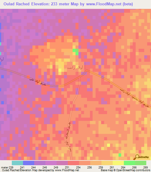 Oulad Rached,Algeria Elevation Map