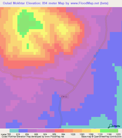 Oulad Mokhtar,Algeria Elevation Map