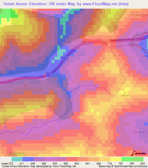 Oulad Ameur,Algeria Elevation Map