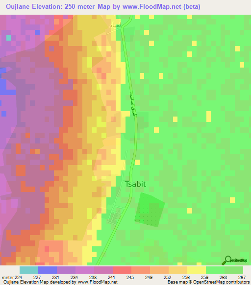 Oujlane,Algeria Elevation Map
