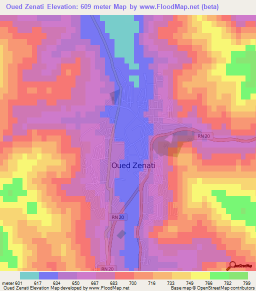 Oued Zenati,Algeria Elevation Map