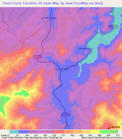 Oued Frarah,Algeria Elevation Map
