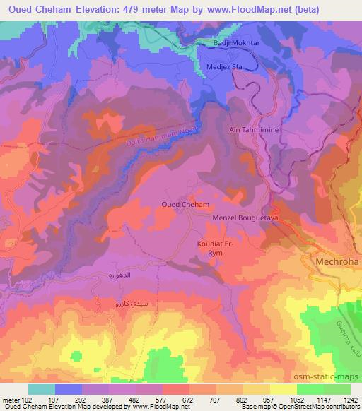 Oued Cheham,Algeria Elevation Map