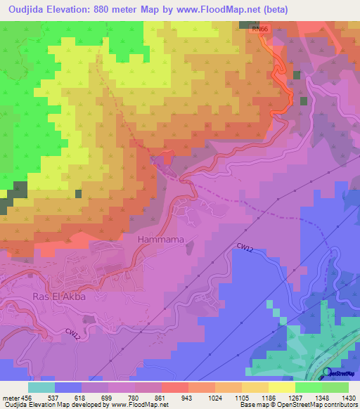 Oudjida,Algeria Elevation Map