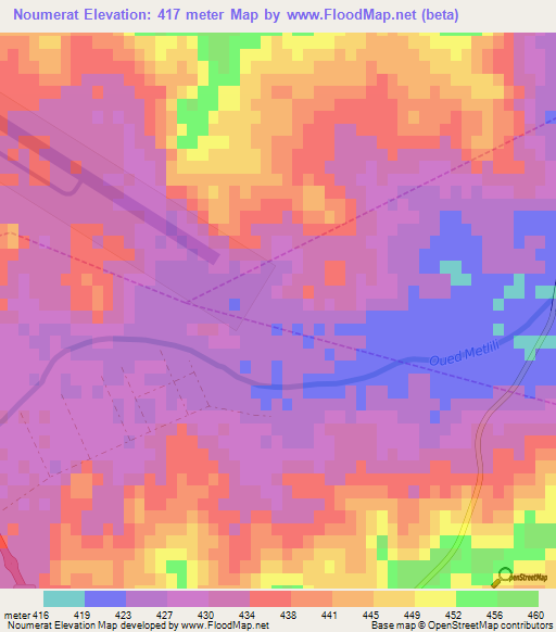 Noumerat,Algeria Elevation Map