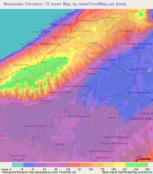 Nessassha,Algeria Elevation Map