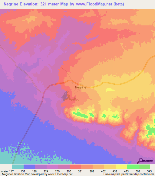 Negrine,Algeria Elevation Map