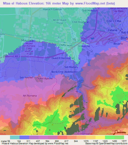 Mtaa el Habous,Algeria Elevation Map