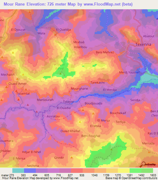 Mour Rane,Algeria Elevation Map