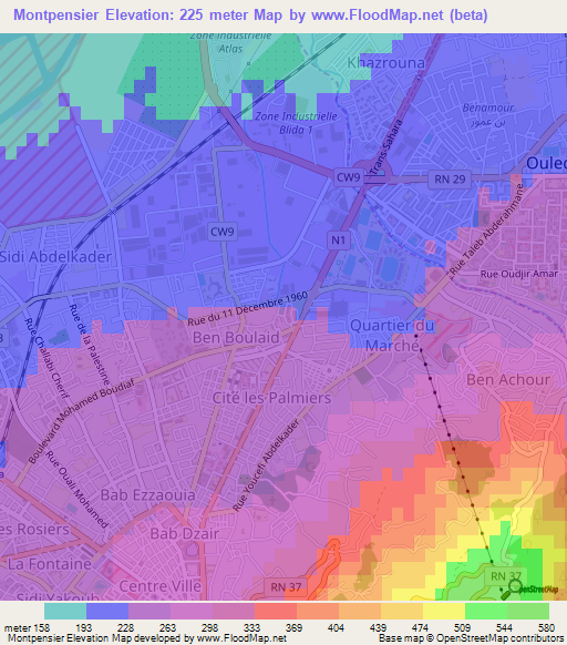 Montpensier,Algeria Elevation Map