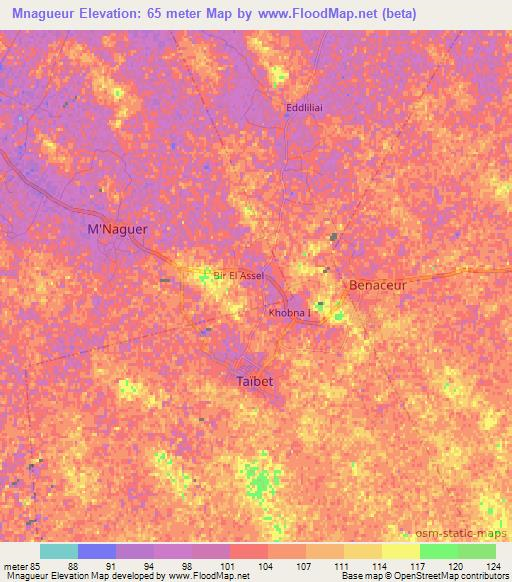 Mnagueur,Algeria Elevation Map