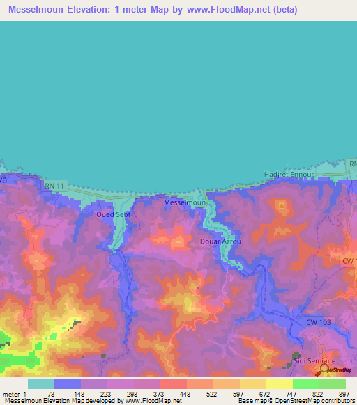 Messelmoun,Algeria Elevation Map