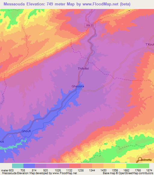Messaouda,Algeria Elevation Map
