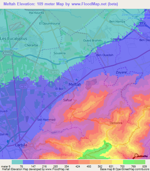 Meftah,Algeria Elevation Map
