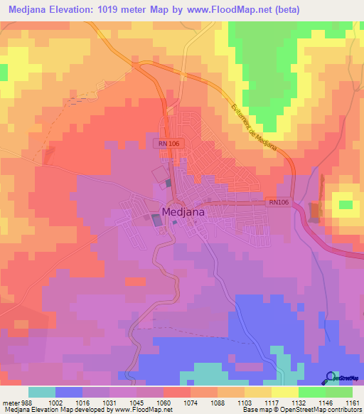 Medjana,Algeria Elevation Map