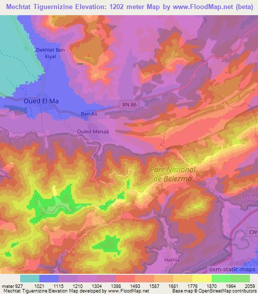 Mechtat Tiguernizine,Algeria Elevation Map