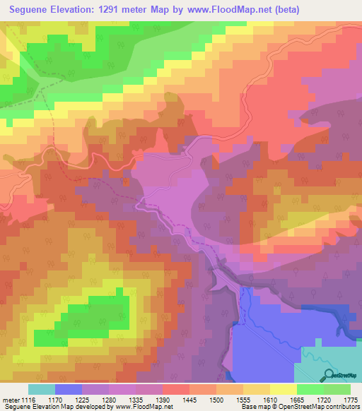Seguene,Algeria Elevation Map
