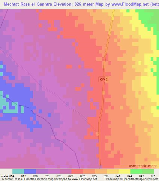 Mechtat Rass el Ganntra,Algeria Elevation Map