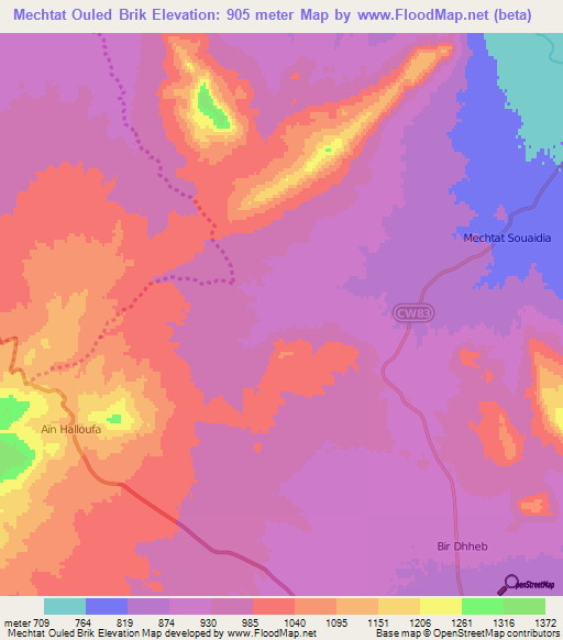 Mechtat Ouled Brik,Algeria Elevation Map