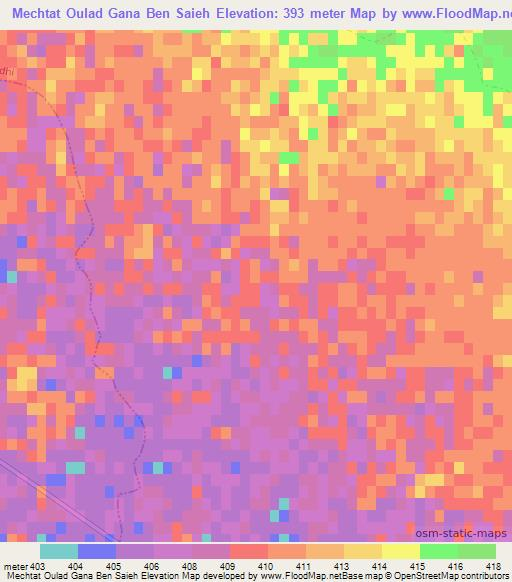 Mechtat Oulad Gana Ben Saieh,Algeria Elevation Map