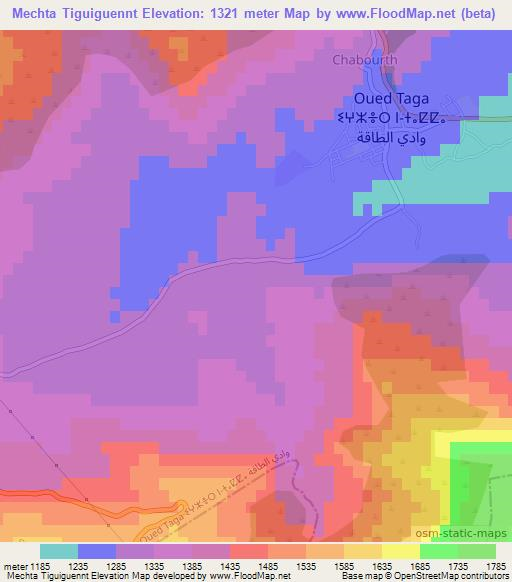 Mechta Tiguiguennt,Algeria Elevation Map