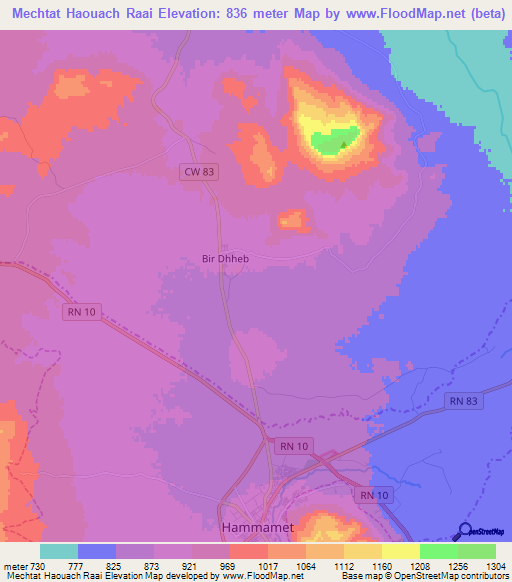 Mechtat Haouach Raai,Algeria Elevation Map