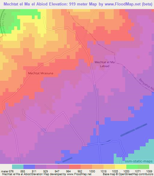 Mechtat el Ma el Abiod,Algeria Elevation Map