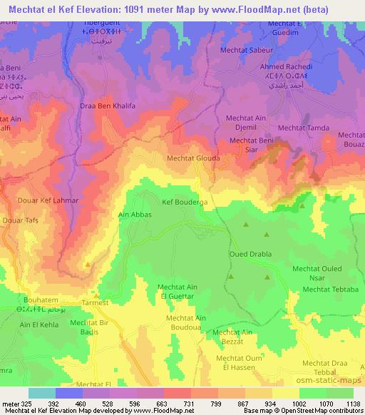 Mechtat el Kef,Algeria Elevation Map