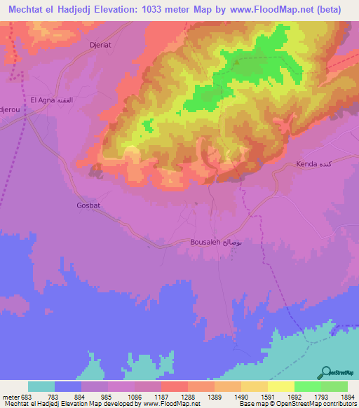 Mechtat el Hadjedj,Algeria Elevation Map