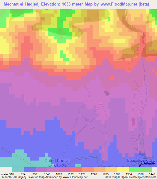 Mechtat el Hadjedj,Algeria Elevation Map