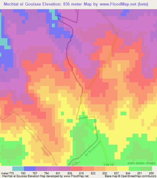 Mechtat el Gouissa,Algeria Elevation Map