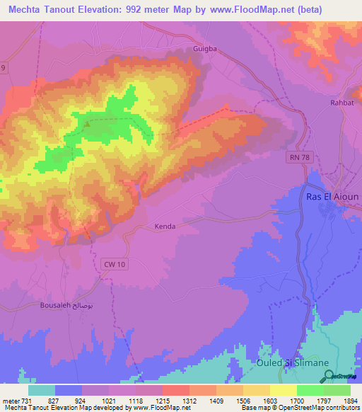 Mechta Tanout,Algeria Elevation Map