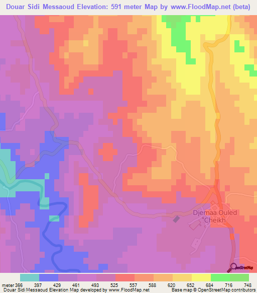 Douar Sidi Messaoud,Algeria Elevation Map