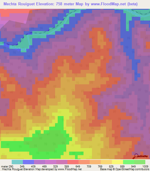 Mechta Rouiguet,Algeria Elevation Map